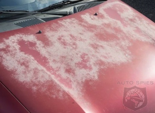 Why Do Some Car Colors Fade More Than Others The Answer May Be You